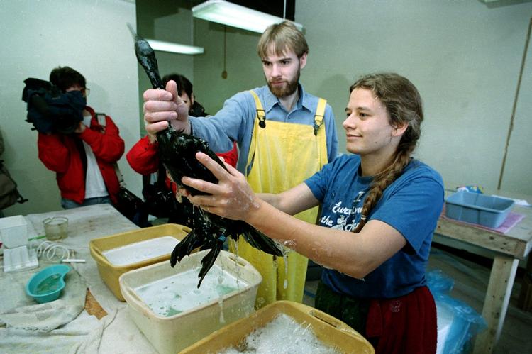 De mange hjælpere arbejdede hårdt med af rense fugle og andre dyr for olie. Udover fuglene omkom 2.800 oddere, 300 sæler, 250 ørne og 22 spækhuggere. 