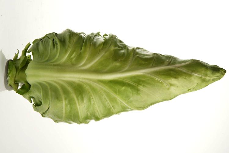 Hvis du undrer dig over din ildelugtende udstødning efter kålindtag, eller bare gerne vil lave mad med nørdbrillerne på, er 'Madlysten' helt sikkert noget for dig. 