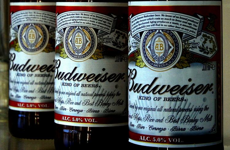 Det amerikanske bryggeri Anheuser-Busch har tabt kampen om navnet Budweiser. 