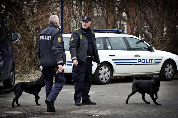 Politiet brugte narkohunde til at gennemsøge køretøjer ved aftenens aktion i Fredericia. Dette er et arkivfoto fra en anden rocker-razzia i København. 