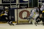 Herning er tilbage i DM-serien. 