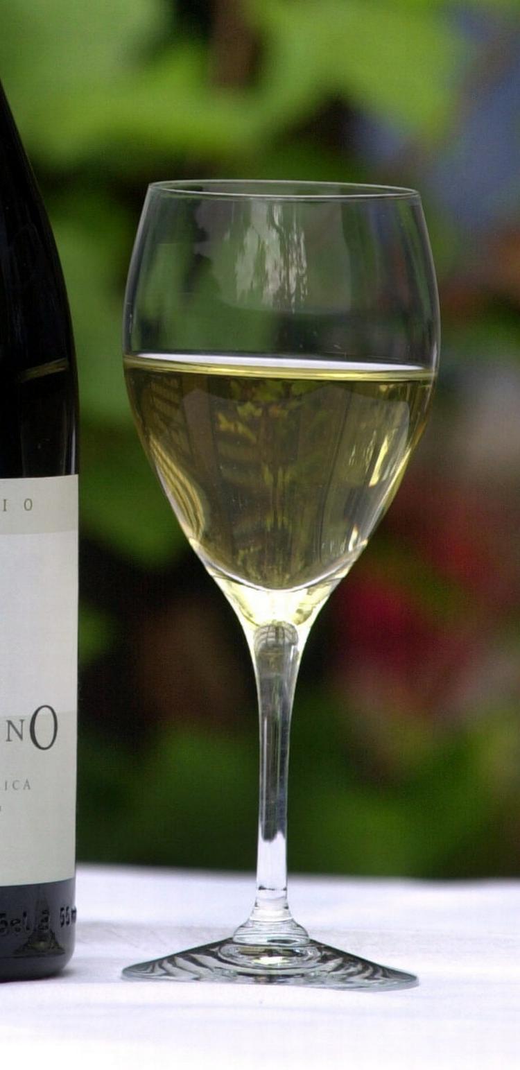 De fleste kender den tyske Riesling, men den 22. april er det også muligt at smage på Pinot Noir og Silvaner. 