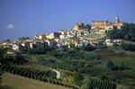 The province of Cuneo in Piedmont is where Barolo comes from. 