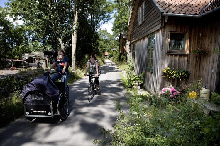 Den idylliserende forestilling om hyrdelivet i Arkadien er igen kommet på mode. 