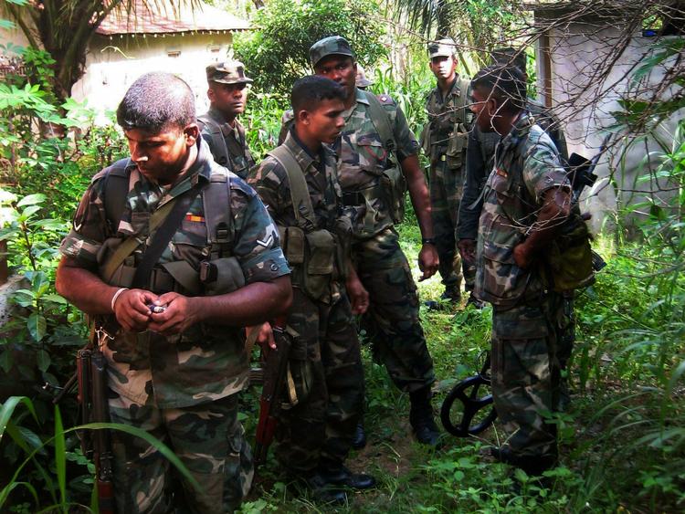 Regeringssoldater fra Sri Lanka har de seneste måneder trængt De Tamilske Tigre alvorligt i defensiven. 