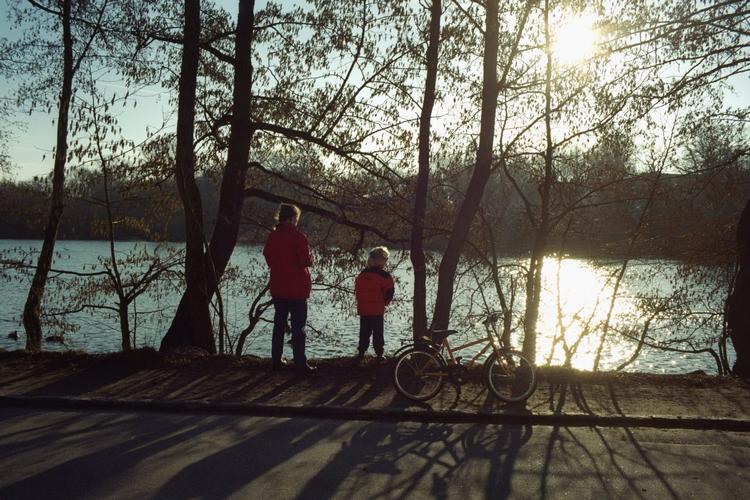 Varme og sol giver de bedste betingelser for pollen, og i disse dager er der rigeligt af begge dele. (Arkivfoto) 