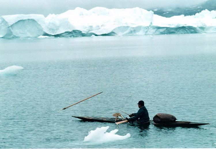 20 percent of Greenland's population depends on hunting seal. 