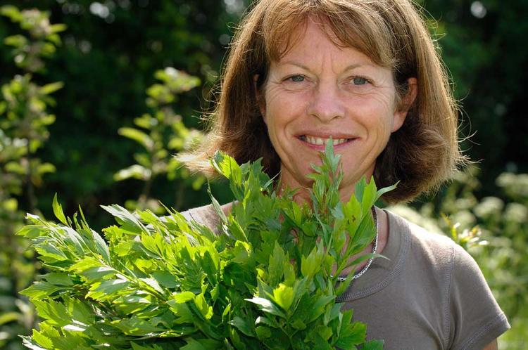 Regeringens plan Grøn Vækst er ikke så grøn, som den giver sig ud for, mener Danmarks Naturfredningsforenings Ella Maria Bisschop-Larsen. Arkivfoto 