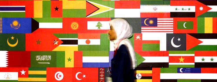 FN's racismekonference, Durban 2, der løber af stablen i næste uge 20.-24. april, er for den muslimske samarbejdsorganisation, OIC, en kærkommen lejlighed til at demonstrere enighed på tværs af muslimske lande. Foto: Teh Eng Koon. 
