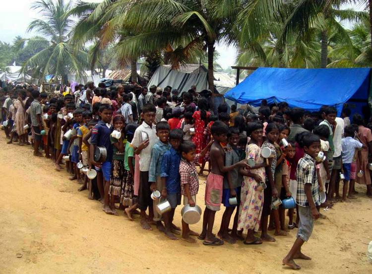 Tamilske børn venter på mad i en flygtningelejr i krigszonen i Sri Lanka. Billedet er taget for otte dage siden. 