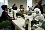 Videnskabsministeren vil lokke talentfulde udlændinge til Danmark med gratis uddannelse. Arkivfotoet er fra Bioanalytikerskolen i København. 