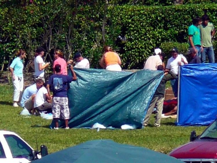 Det var formentlig for stærk medicin, der fik 21 poloheste til at dratte døde om på stribe i Florida. 