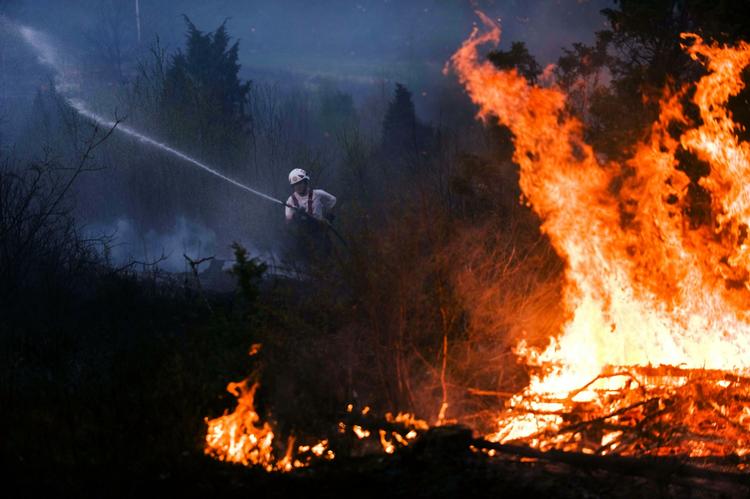 Det svenske brandvæsen har hele natten kæmpet mod flammerne i et skovområde nord for Göteborg. Til morgen havde de stadig ikke fået branden under kontrol. 