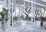De gamle kirsebærtræer udenfor føles som en naturlig del af det skovlignende interiør i Ishigamis laboratorium til Kanegawa Institute of Technology. Foto: Junya Ishigami 