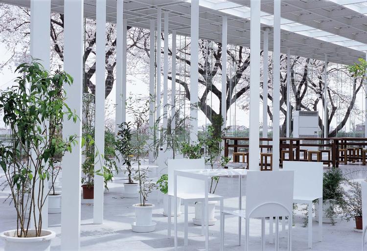 De gamle kirsebærtræer udenfor føles som en naturlig del af det skovlignende interiør i Ishigamis laboratorium til Kanegawa Institute of Technology. Foto: Junya Ishigami 