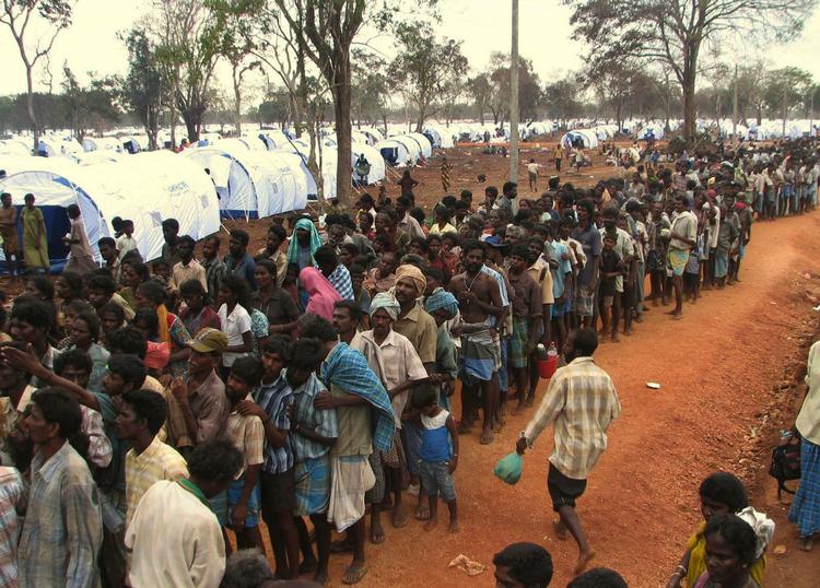 Srilankanske flygtninge, der er nået ud af området, hvor regeringsstyrkerne kæmper mod De Tamilske Tigre, fotograferet søndag, hvor de står i kø i en lejr for at få mad. 