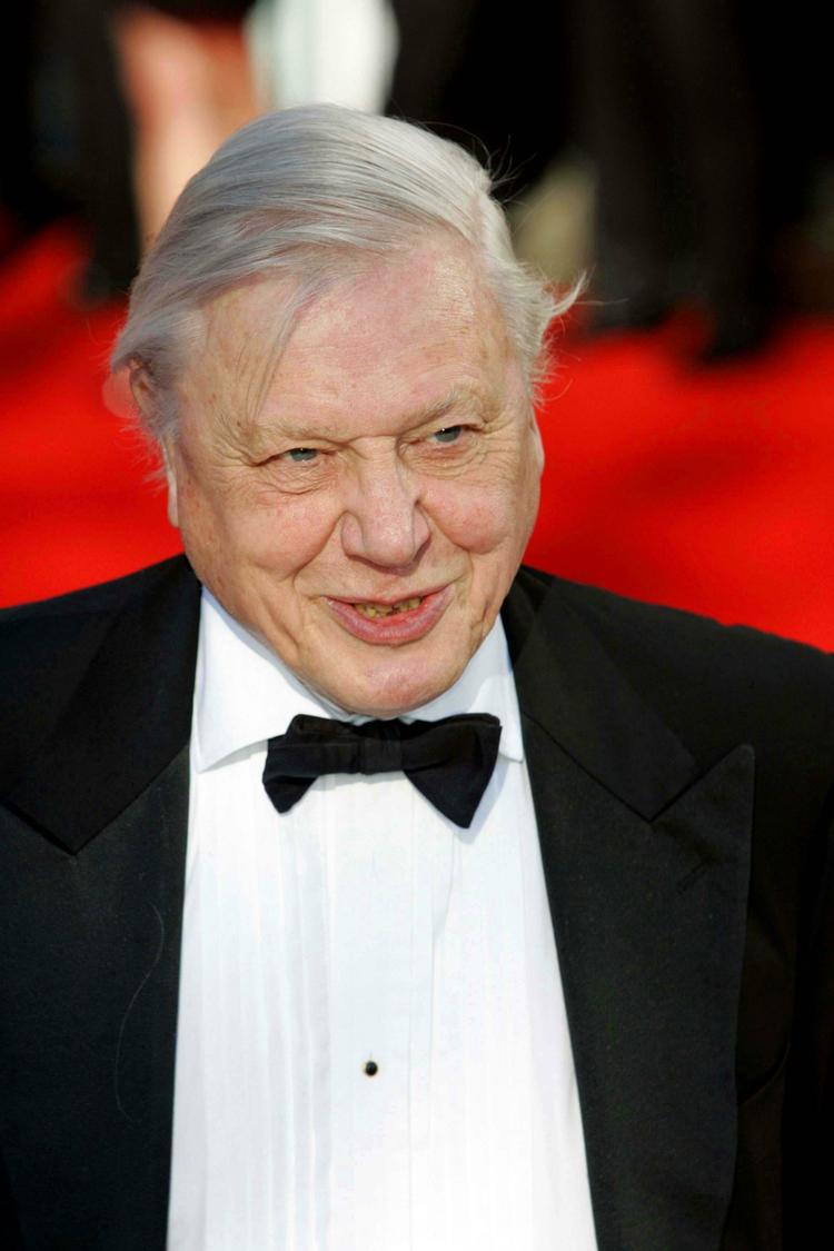 82-årige Attenborough takkede »de spyttende kobraer, gyldne frøer, dværgkamæleoner og skildpadder«, da han modtog Bafta-prisen. 