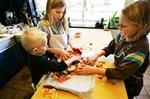Harry laver rodfrugter