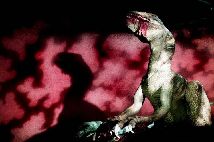 Dinosaurer overlevede måske 500.000 år længere i USA end i resten af verden. 