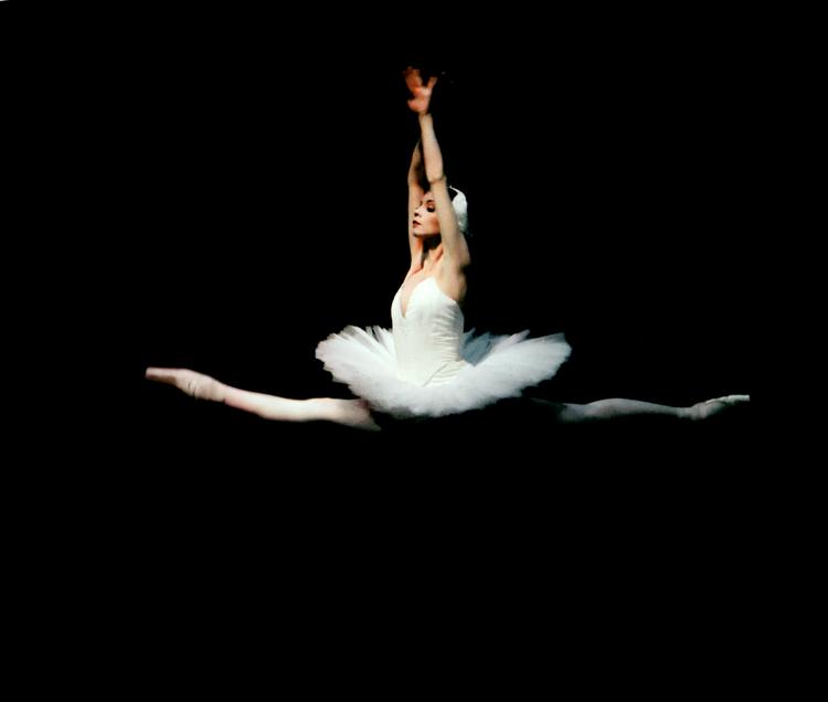 Silja Schandorff kan lyse af nærvær og sensualitet, men formår også at gøre kroppen transparent. Her danser hun i 'Svanesøen'. Foto: Paul Kolnik 