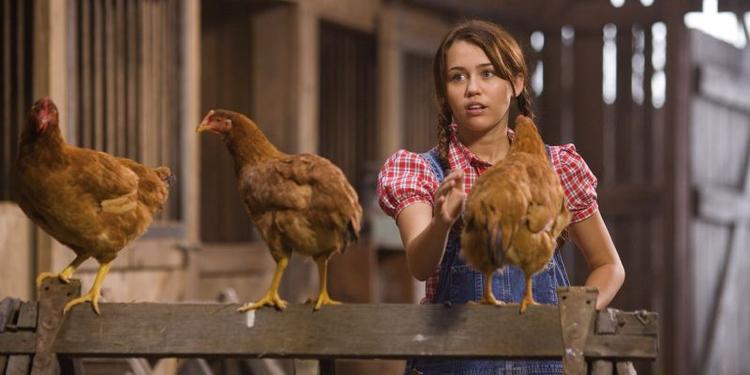I 'Hannah Montana'-filmen bliver ungdomsidolet sendt på genopdragelse på familiens farm, så hun kan lære livets sande værdier. Foto: Disney 