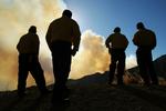 Wildfires