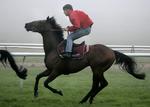 Jockey Kim Andersen var en af dagens vindere. Arkivfoto. 