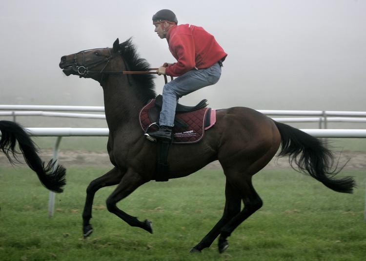 Jockey Kim Andersen var en af dagens vindere. Arkivfoto. 