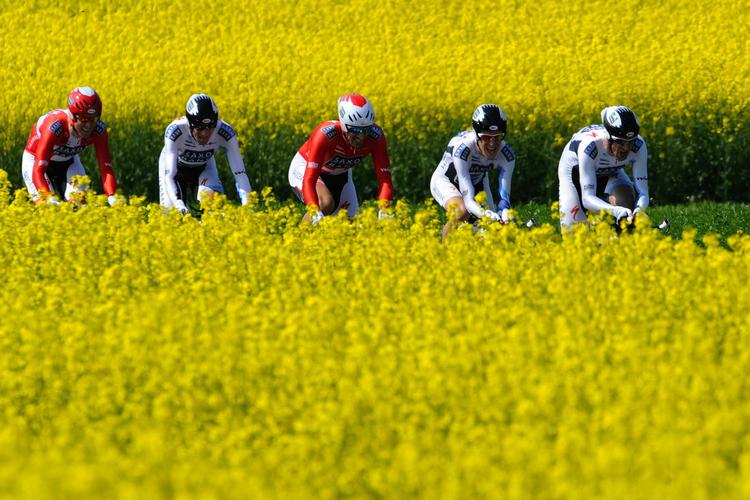 Team Saxo Bank i holdkørsel i Schweiz. Arkivfoto. 