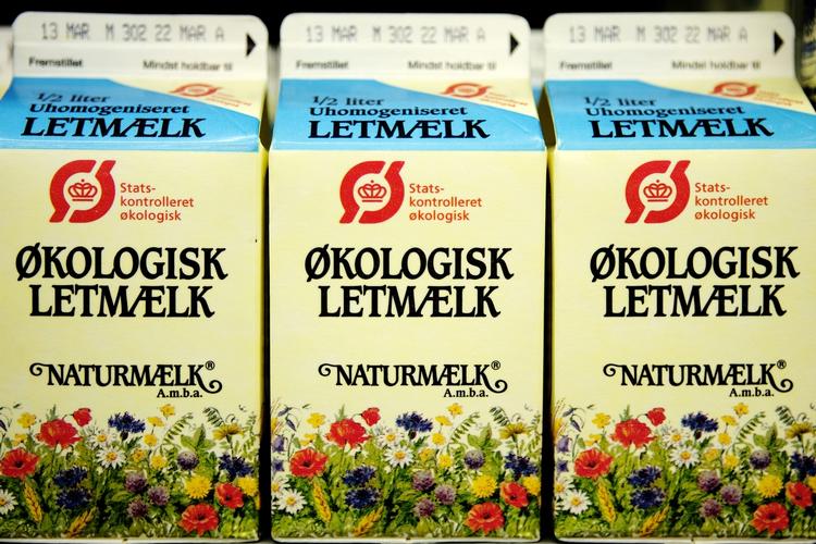 Økologisk mælk indeholder op til 70 procent mere af de gode sager. Arkivfoto 