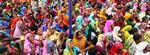 Anal_Indien_2_12-05-2009_HV79D6E.jpg