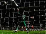 Peter Løvenkrands scorer det afgørende mål for Newcastle mod Middlesbrough. 