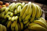 Bananer kan vise sig at blive en ny, alternativ kilde til energi i Afrika, mener engelske forskere. Arkivfoto. 