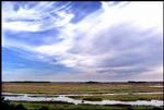 Læsø
