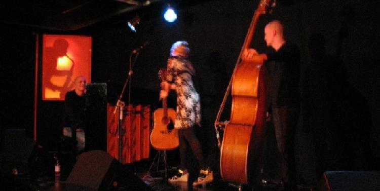 muskuløst. først og fremmest er Magnus Hjort Trio tre stærke musikere, der ikke hæmmes af jazzmusikkens gerne intrikate strukturer. PR-foto. 