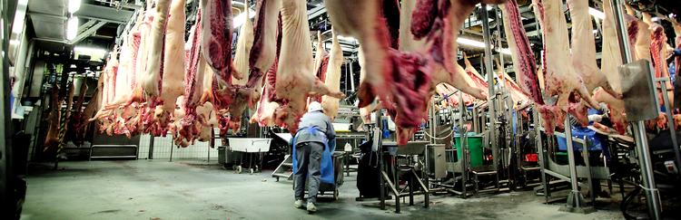Kommissionsbehov. »Regeringen bør tage initiativ til en ny national produktivitetskommission, der finder nye, innovative løsninger til at hæve produktiviteten i den offentlige sektor, i serviceerhvervene og industrien«, skriver Bjarke Møller. Foto: Jan Grarup 