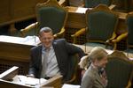 Regeringen behøver ikke at bekymre sig om oppositionen, når det gælder politik i EU, mener Enhedslisten. Arkivfoto. 