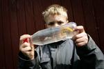 Kemikalierne fra plastflasker kan måles hos brugerne. Arkivfoto af dreng med vandflaske. 