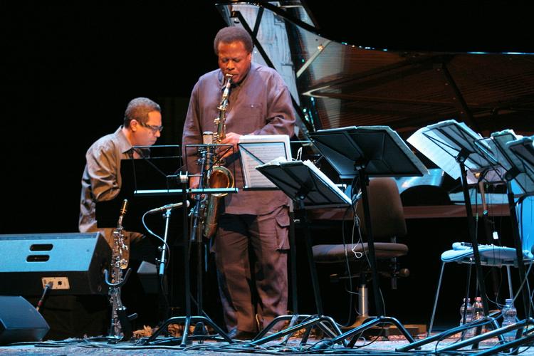 Finanskrisen rammer tilsyneladende hurtigt jazzscenen. Flere byer har skåret deres jazzfestival væk. Her er det amerikanske Wayne Shorter under en koncert sidste år i Operaen i København. 