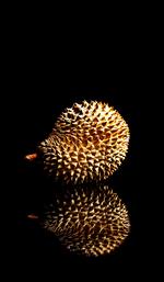 Den asiatiske frugt durian. 