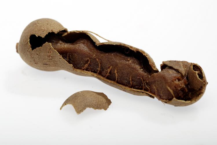 STUDIETING TIL FRITSKRAB