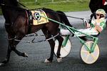 SportBuckiStPat_31-05-2009_047DK4C.jpg