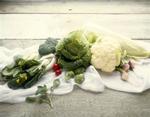 Cabbage Still Life
