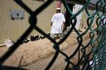 Der findes stadig cirka 240 fanger i Guantanamo. Mandag aften tog en fange sit eget liv. Arkivfoto. 