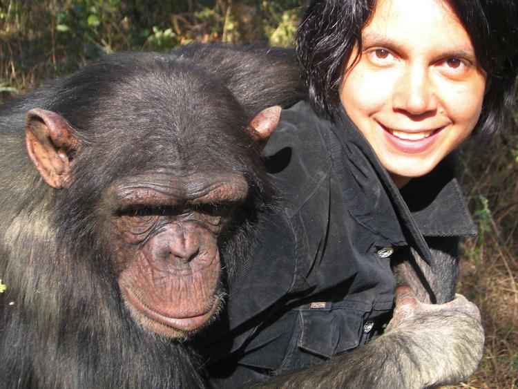 Det er et forskerhold med Dr. Marina Davila Ross i spidsen, som har kastet sig ud i de biologiske latterstudier ved at kilde mennesker og aber. Arkivfoto. 