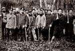 De alvorstunge ansigter fortæller bedre end ord, at det var et af samfundets hårdeste job at være skovarbejder før mekaniseringens tid. Foto: Cirka 1910, fra bogen