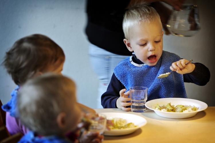 Mad er godt - men det er ikke alt mad, der bliver lige godt, når den nye madordning træder i kraft fra årsskiftet. 