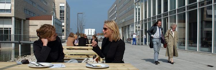 I lyset af evalueringen af universitetsloven afholder Dansk Magisterforening i dag en konference om forskningsfrihed på universiteterne. Dagens analyse ser nærmere på den udvikling, universiteterne aktuelt er inde i. Foto: Finn Frandsen 