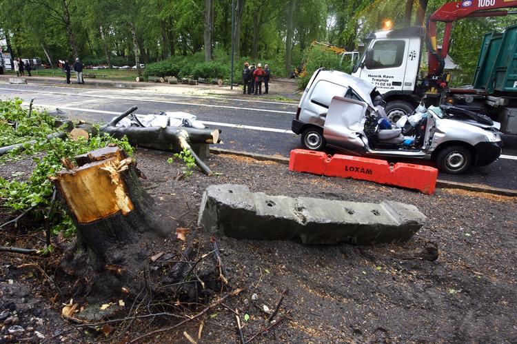 Først i maj blev en mand dræbt, da et træ i Fælledparken væltede ned over hans bil. Arkivfoto 