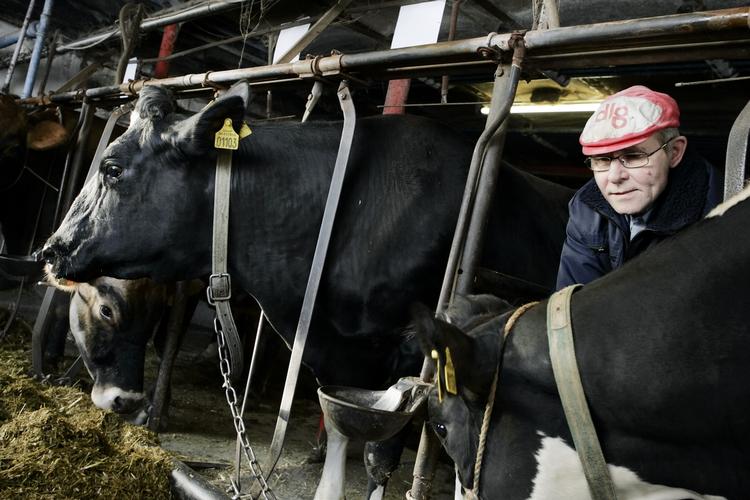 Om landmand Jens S. Sørensen er glad for koldskål, skal være usagt - men han er i hvert fald glad for kærnemælkens leverandører. Arkivfoto 